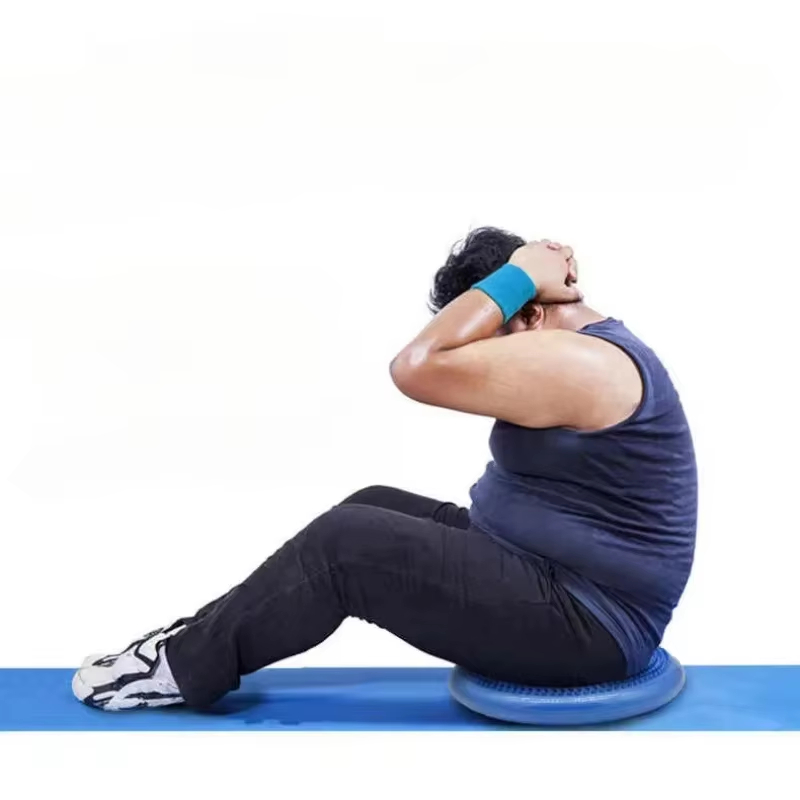Cojín de disco de equilibrio o - Exercise Ball Stability reseña y precio